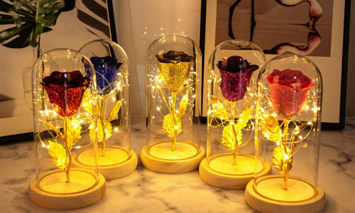 Différentes fleures et roses éternelles alignées de différentes couleurs